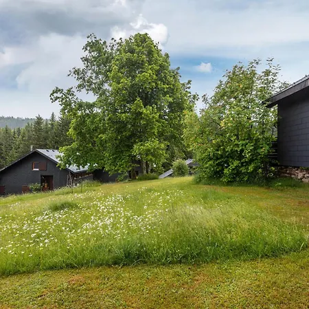 Rechbergblick, Haus 29 Holiday home Bernau im Schwarzwald